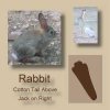 rabbit-track-50.jpg