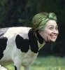 madhillary.jpg