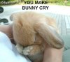 bunny_cry.jpg