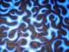 blue-flames.jpg