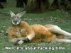 its-about-time-kangaroo.jpg