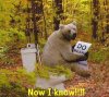 bear-shitting-in-the-woods-bathroom-jokes-photographs.jpg.w300h269.jpg