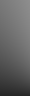 header_bgg.gif