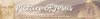 banner.jpg