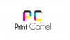 Print Camel Logo Design-02.jpg