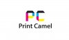 Print Camel Logo Design-03.jpg