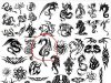 Dragons_tattoo_232b.jpg
