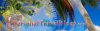 header-travel-blog.jpg