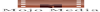 mojo media 1.png