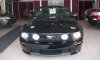 stang.jpg