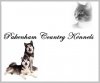 kennels2.jpg