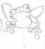 frog1.jpg