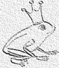 frog2.jpg