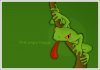 frog3.jpg