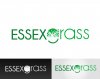 Essex-Grass.jpg