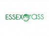 Essex-Grass.jpg