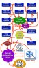 mindmap.jpg