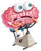 fitbuff-brain-exercise.jpg