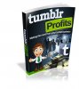 Tumblr-Profits-500.jpg
