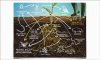soil food web1.jpg