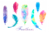 feathers (4).png