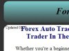 ForexSample.jpg
