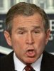 george-w-bush.jpg