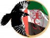 EEC8.jpg