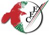 eec12.jpg