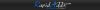 rapid-adds2.jpg