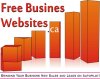 free business websiet 1.jpg