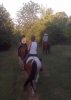 Riding Horses 007.jpg