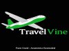 travelvine logo.jpg