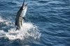 jse_IMG_4056.jpg