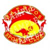 logo3.jpg
