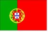 Flagbig.jpg