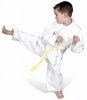 karate to this.jpg
