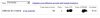 adsense.JPG