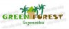 green forest.jpg