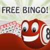 bingowonga2.jpg
