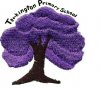 torkington tree.jpg
