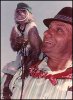 organ grinder monkey.jpg