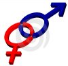 male-female.jpg