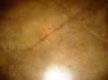 Stained Concrete.jpg