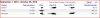 quickwp-adsense.JPG