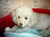 DSC01939.jpg