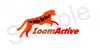 zoomactive2.jpg