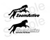 zoomactive3.jpg