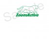 zoomactive3.jpg