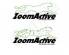 zoomactive2.jpg